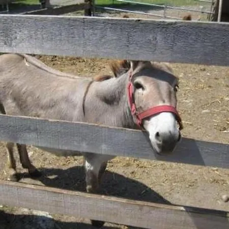 شقة Farbhaus Bleiche By Interhome