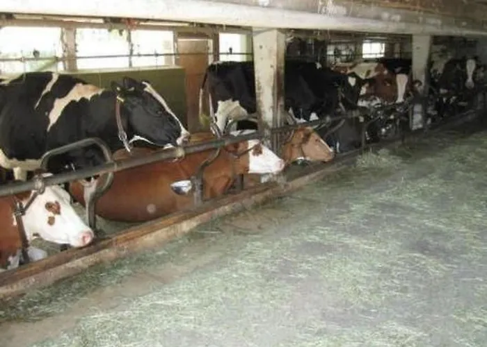 Farbhaus Bleiche By Interhome Apartment Rohrbach