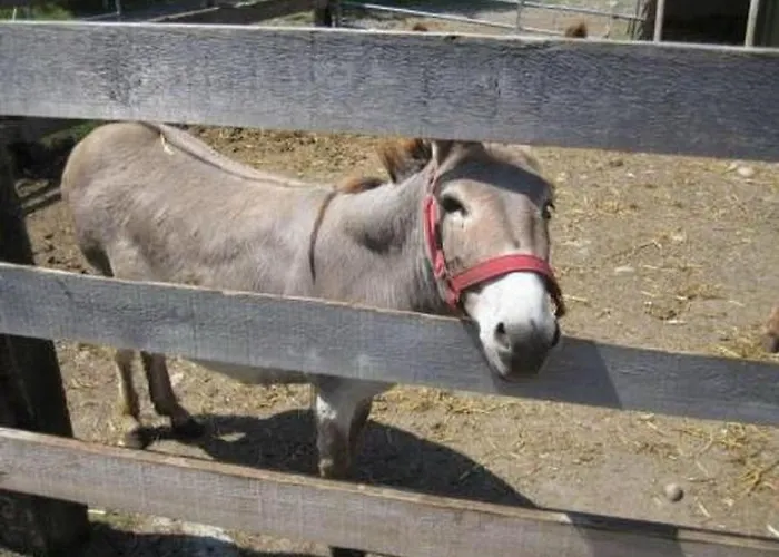 Apartment Farbhaus Bleiche By Interhome