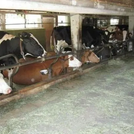 Farbhaus Bleiche By Interhome Appartamento Rohrbach