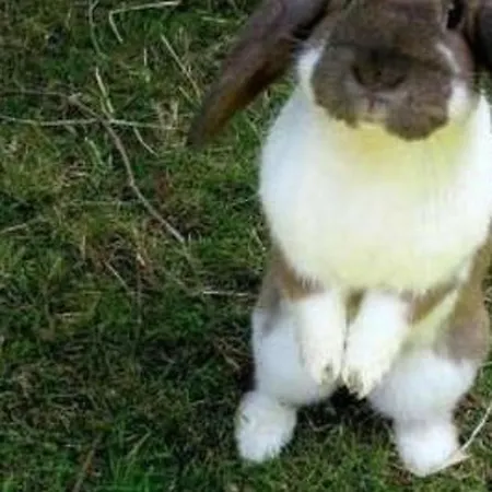 Farbhaus Bleiche By Interhome *