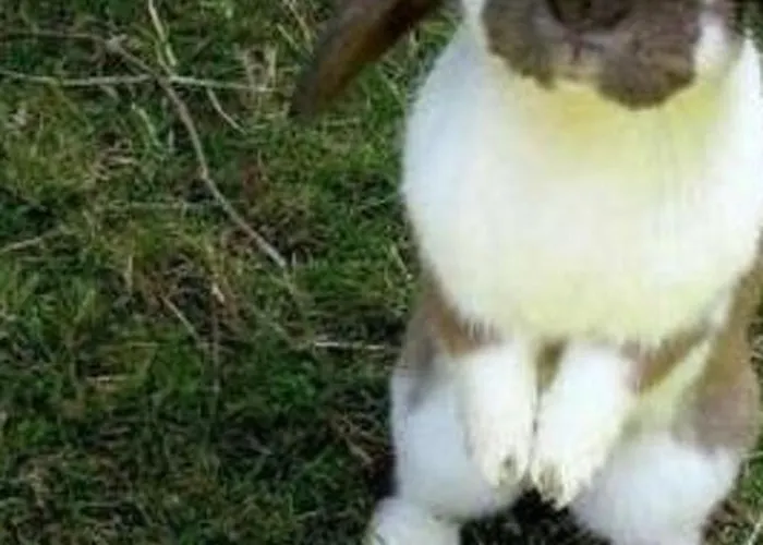 Farbhaus Bleiche By Interhome *